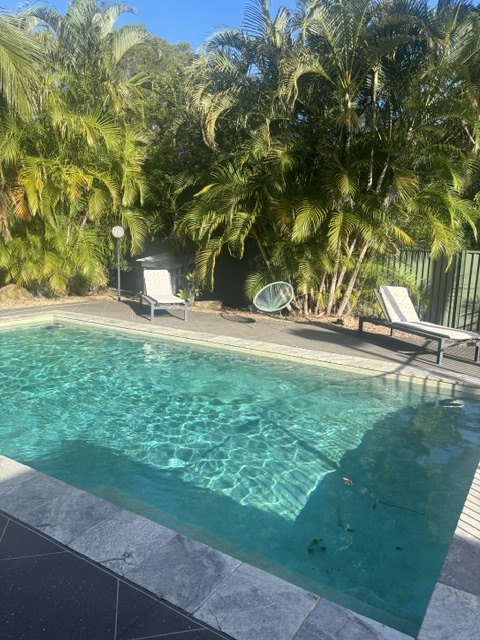 The club&rsquo;s swimming pool with sun loungers and palm trees